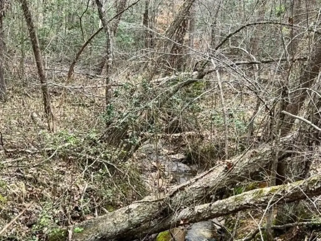 Picture 25