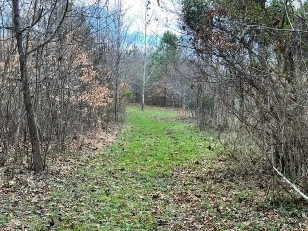 Picture 21