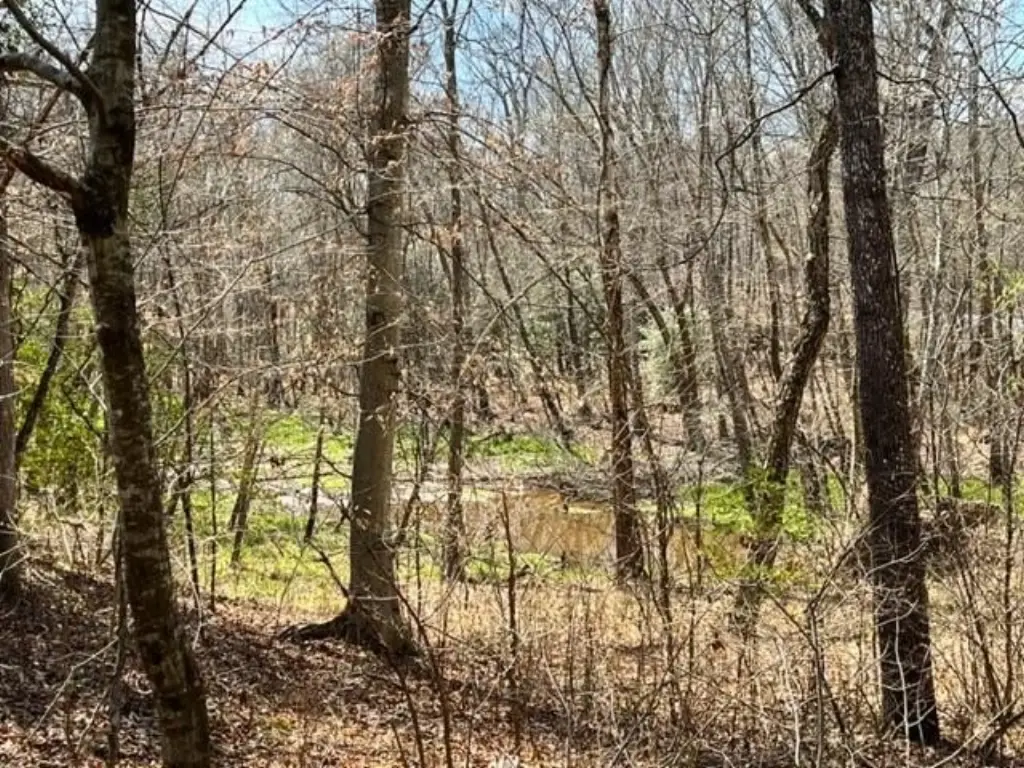 Picture 19