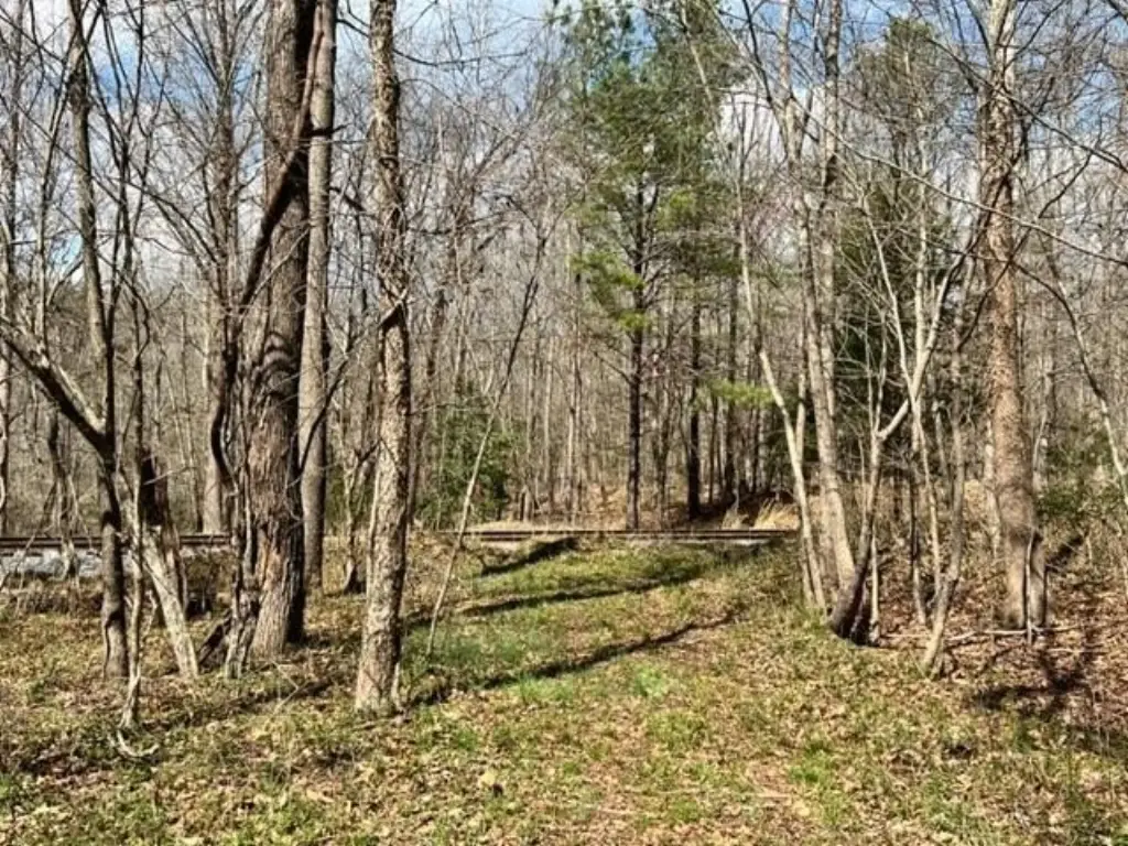 Picture 23