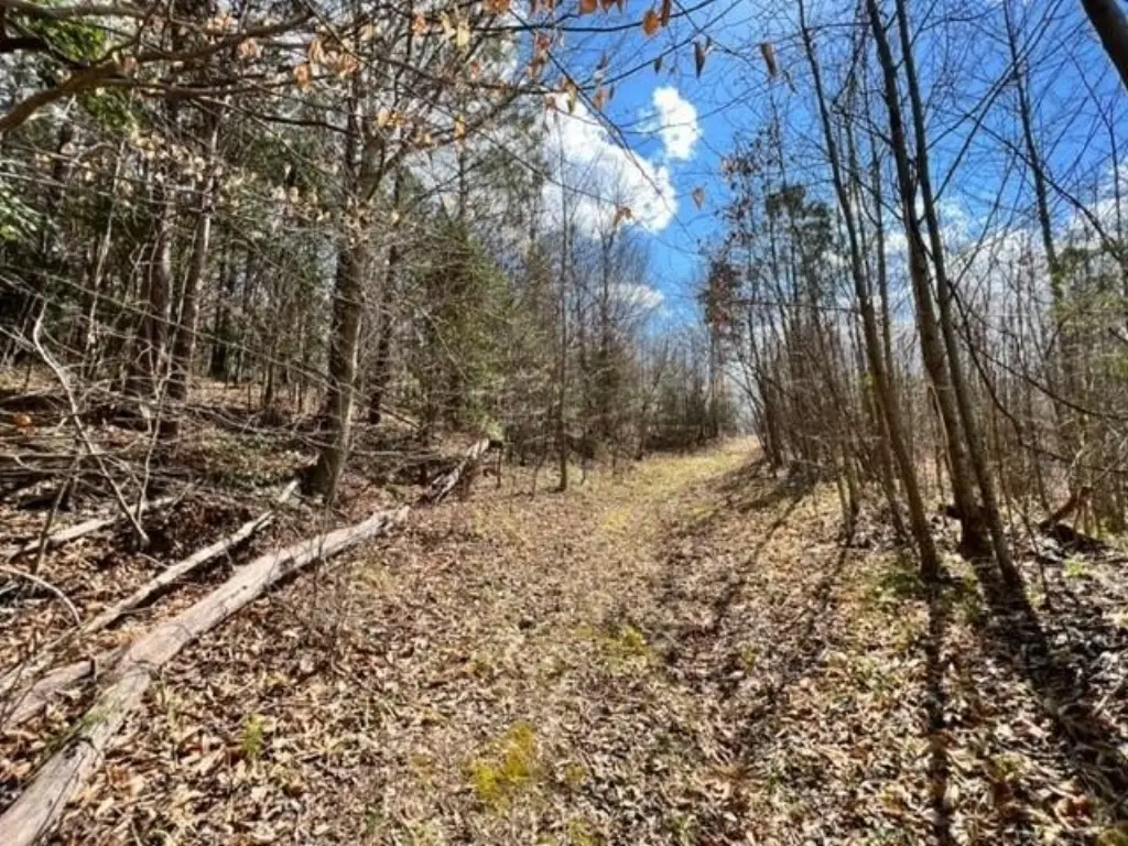 Picture 33