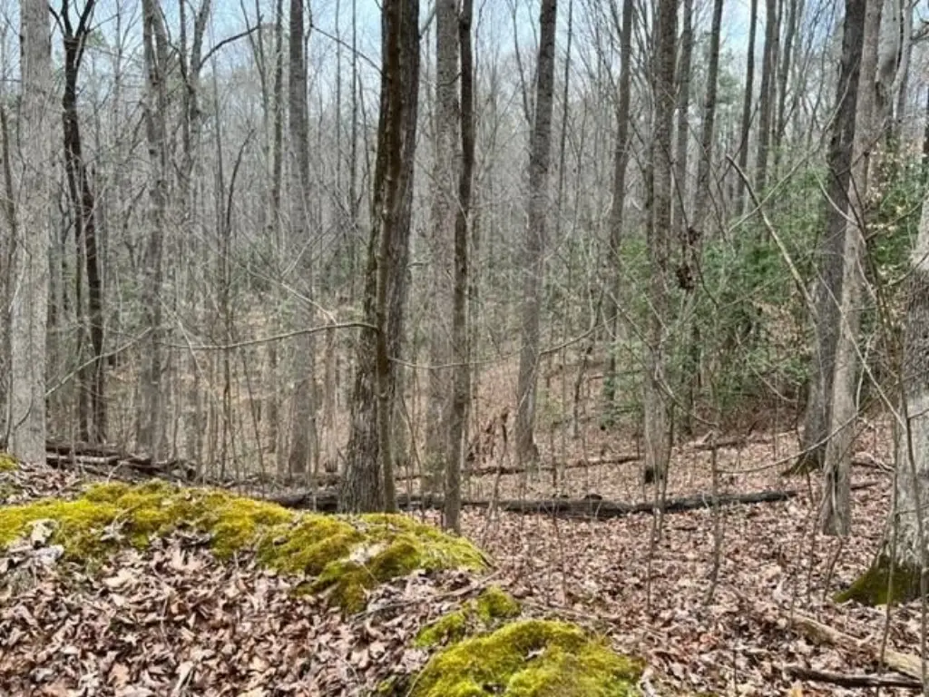 Picture 10