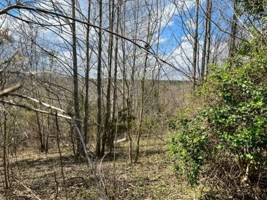 Picture 22