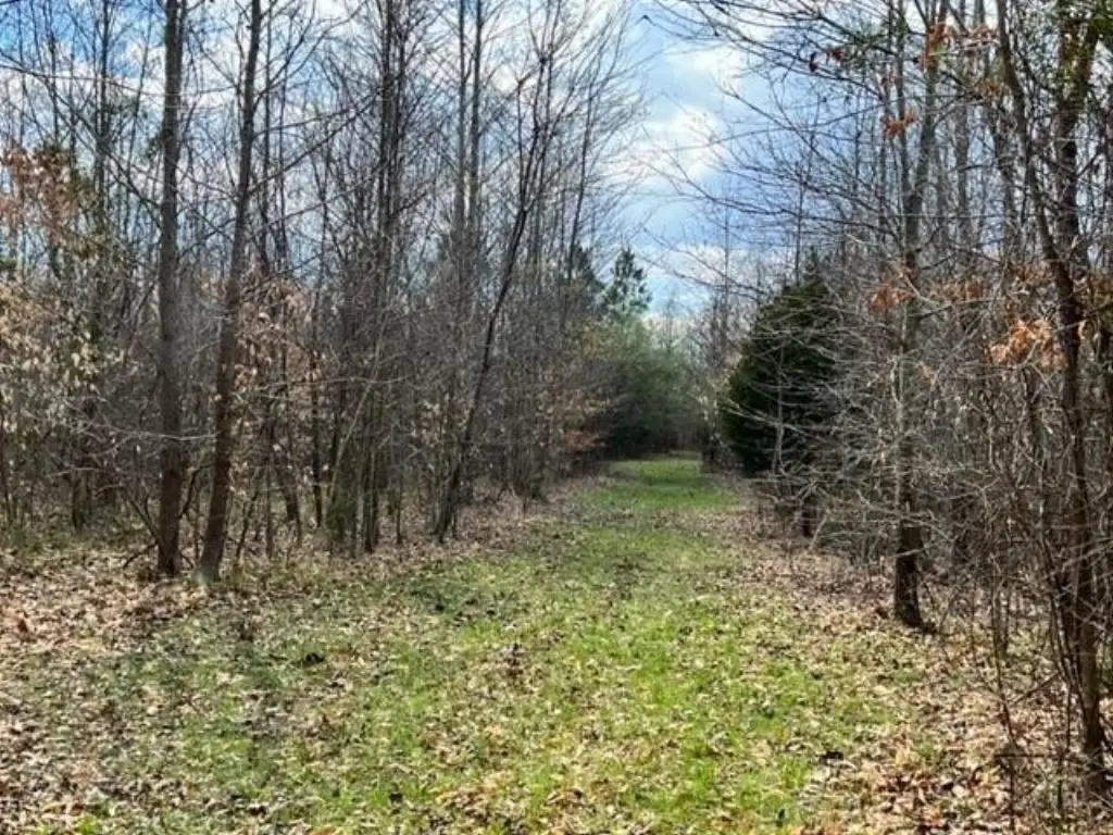 Picture 28