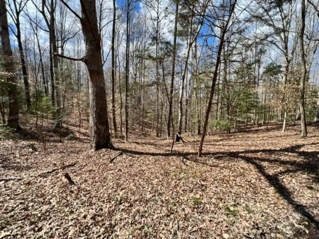 Picture 14