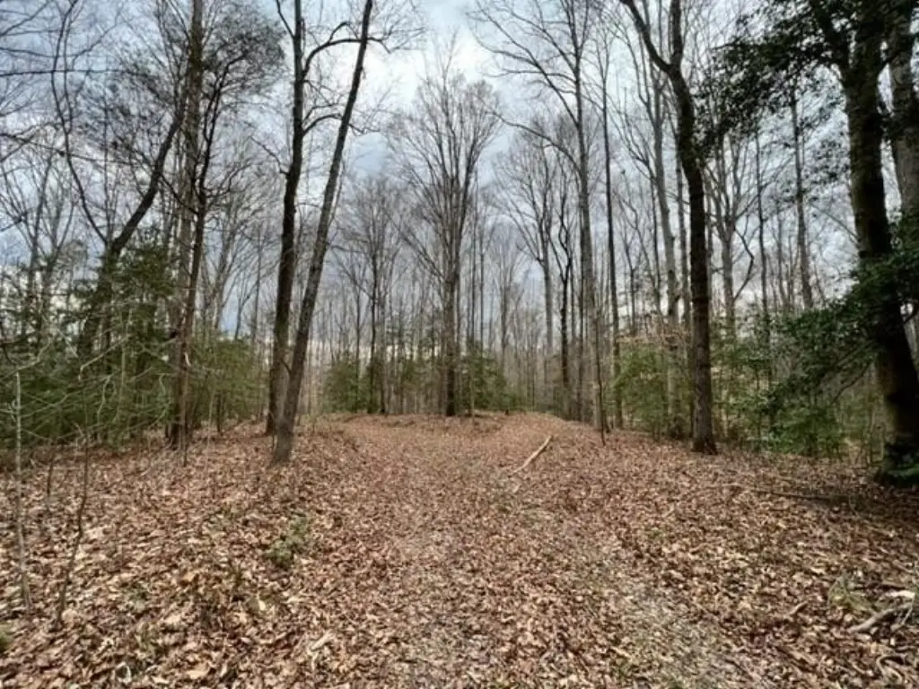 Picture 29