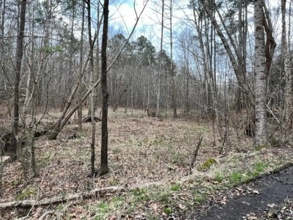 Picture 24