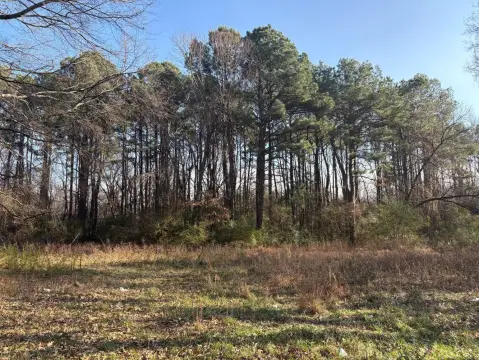 Memphis Development Site: 13.78 Acres