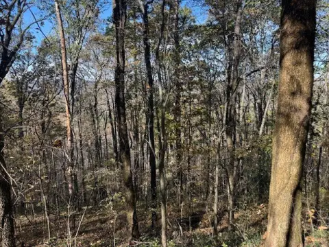 Gallant, AL Vacant Land