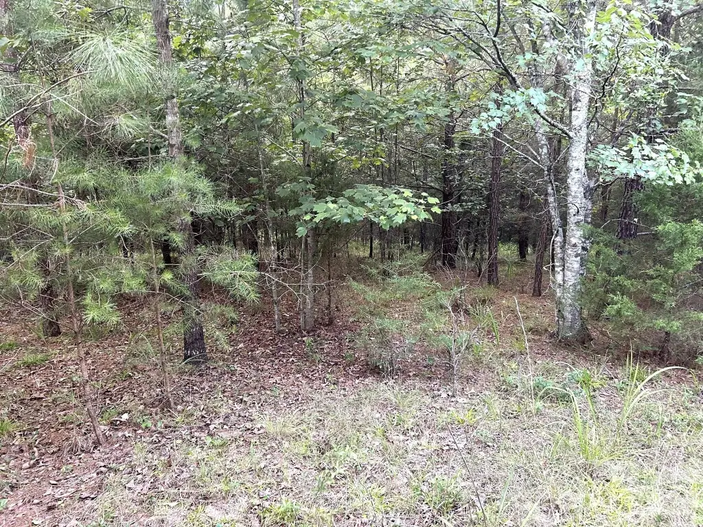 Picture 4
