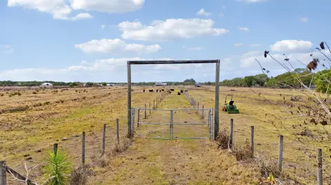 Lush Pasture in Fort Pierce