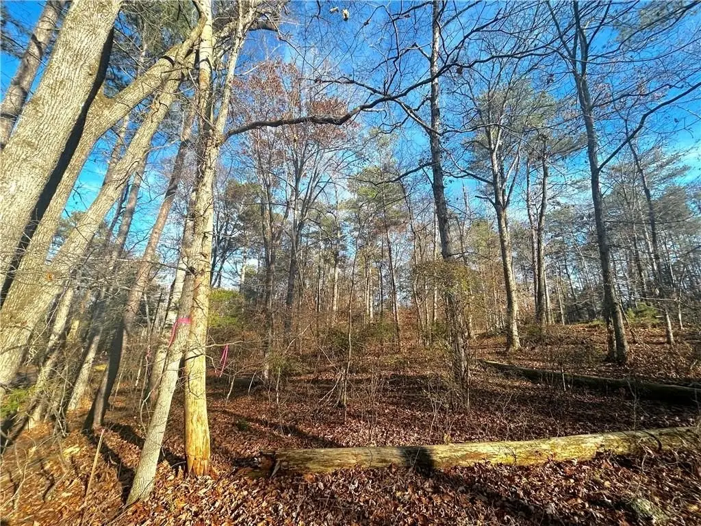 Picture 8