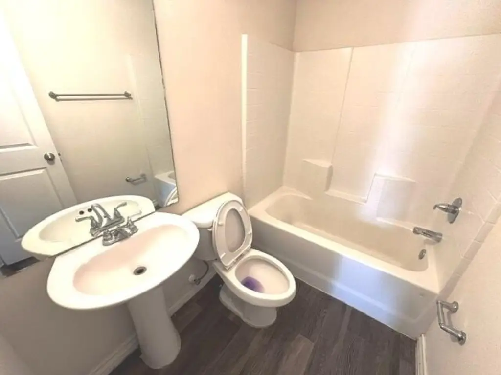 Picture 11