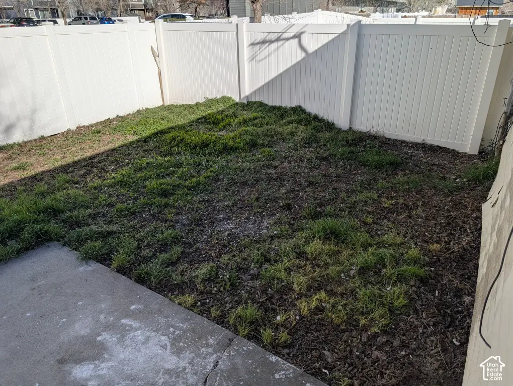 Picture 19