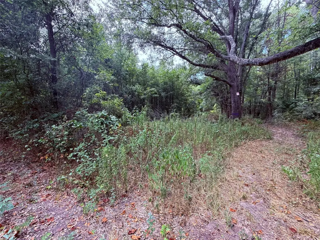 Picture 9