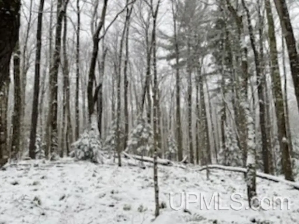 Picture 22