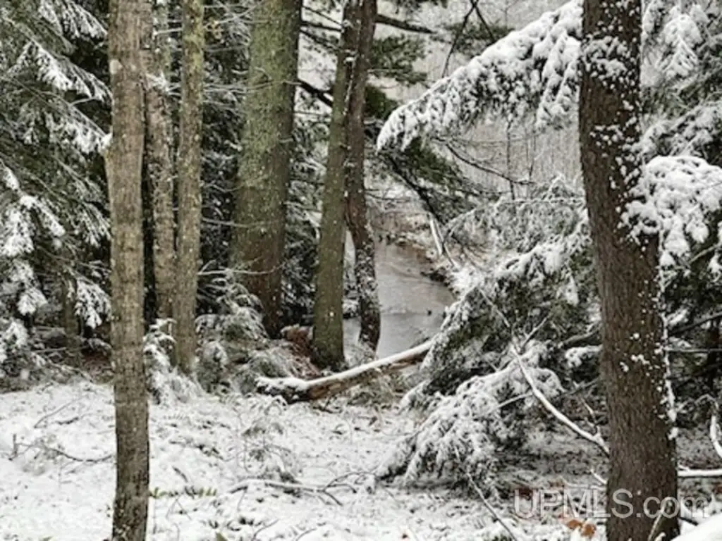Picture 25