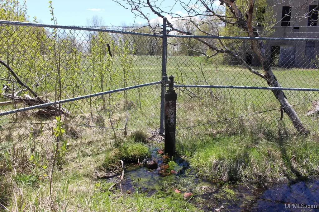 Picture 38