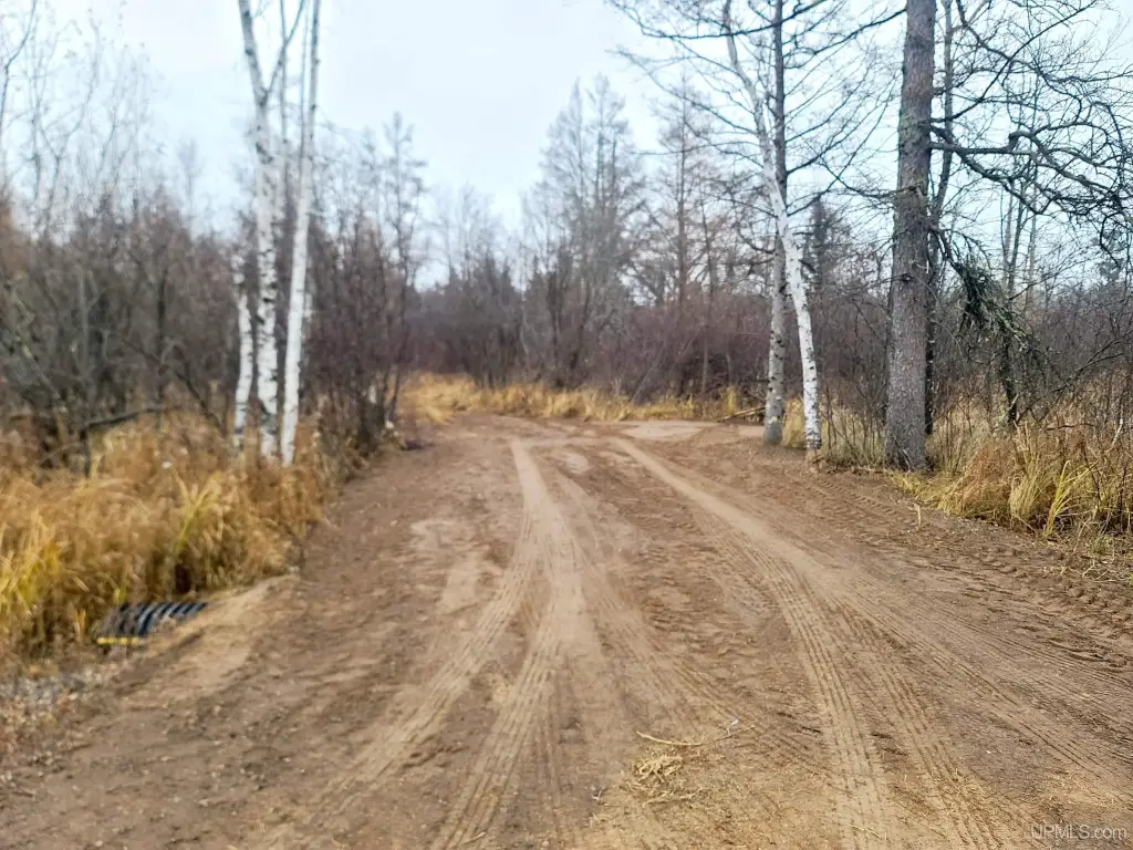 Picture 13