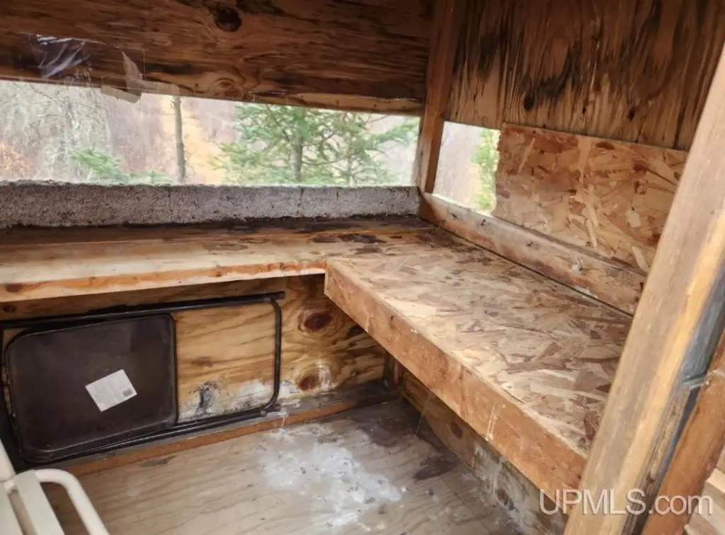 Picture 11