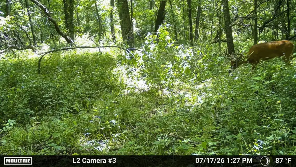 Picture 26