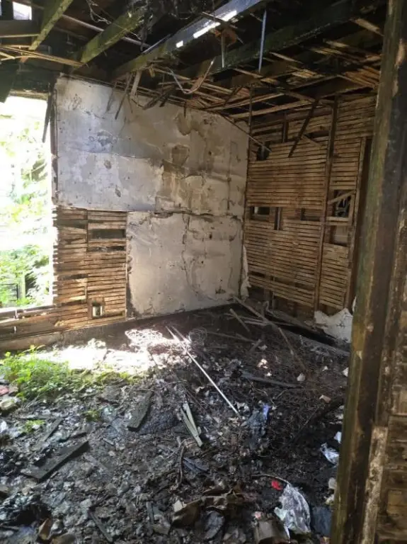 Picture 6