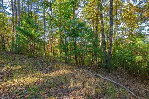 Wooded Lot in Resort Community