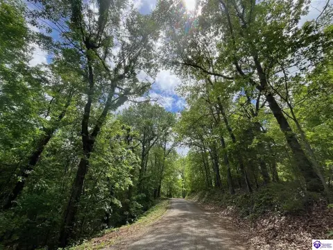 50 Acres Wooded Land, Bonnieville