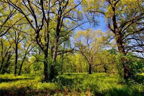 Berryville Land with Development Potential