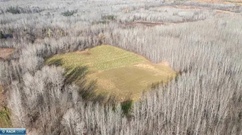 Gheen, MN 30-Acre Land Parcel