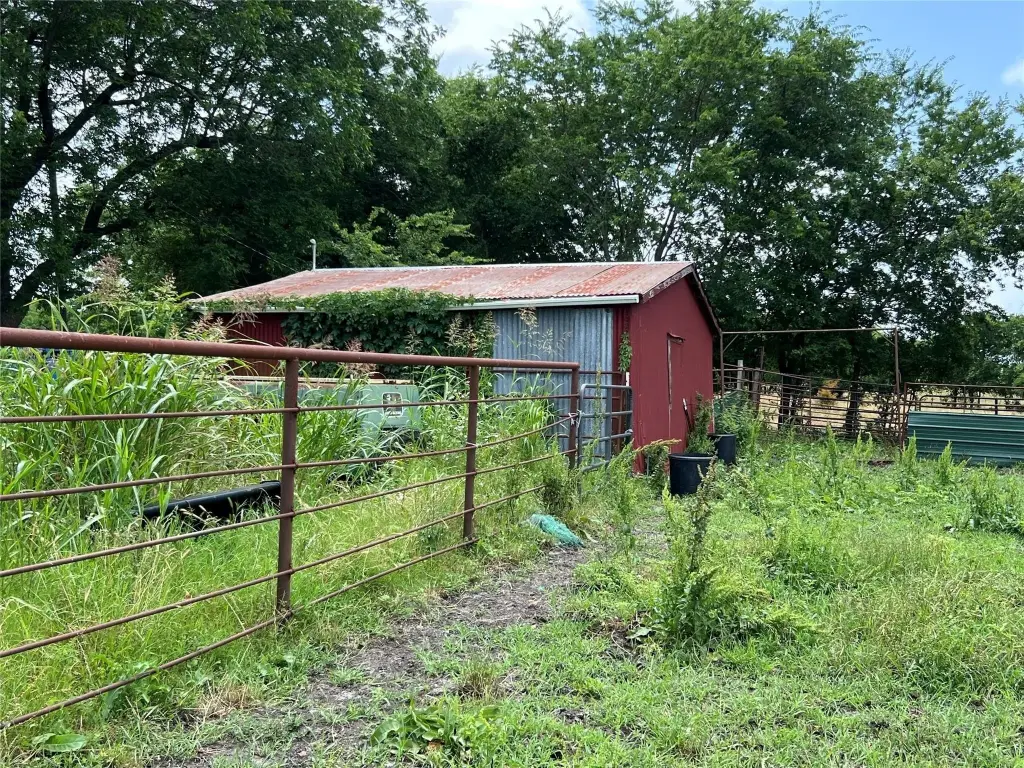 Picture 21