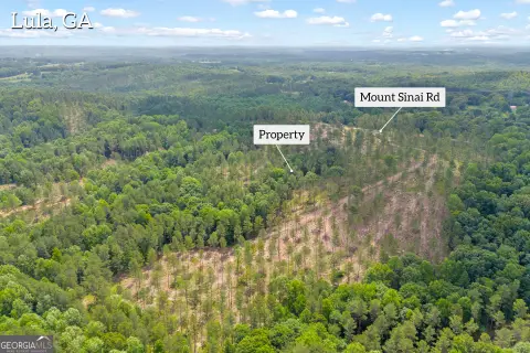 33-Acre Hunting Land with Creeks