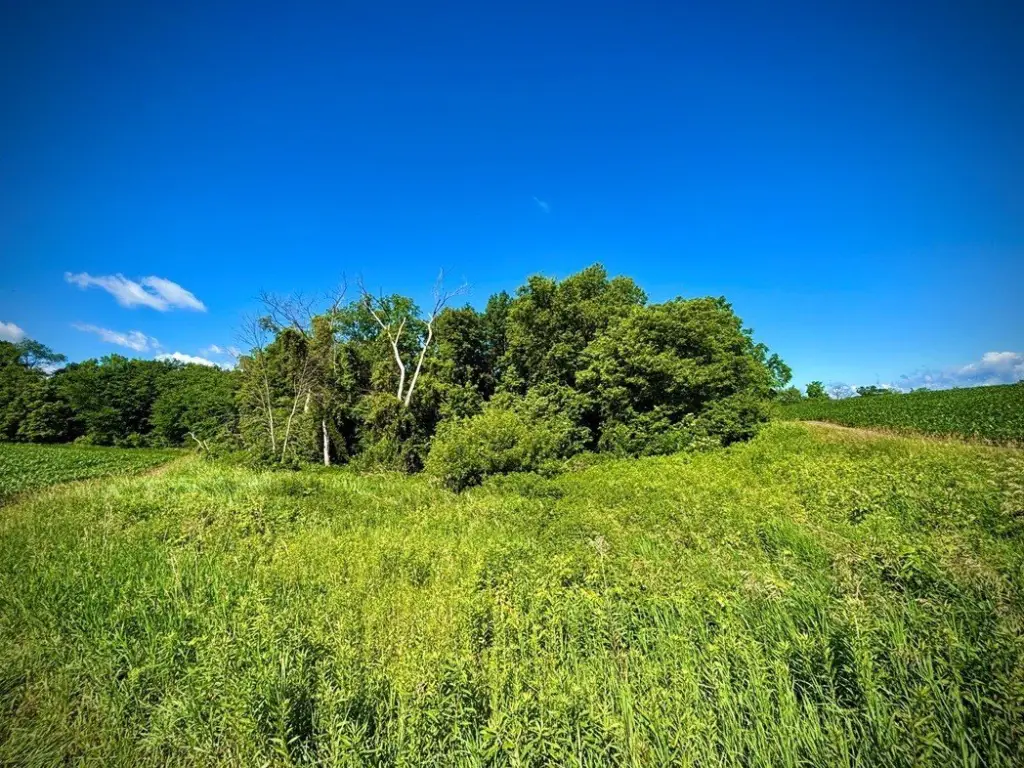 Picture 6