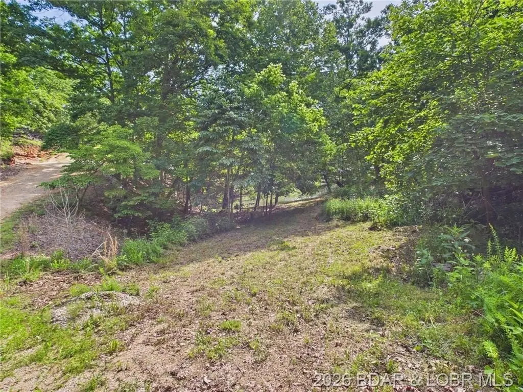 Picture 20