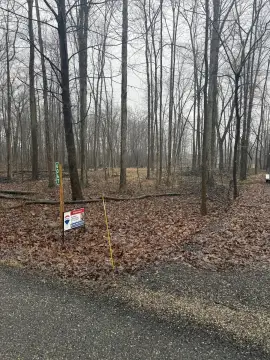 Wooded Land with Pond Frontage