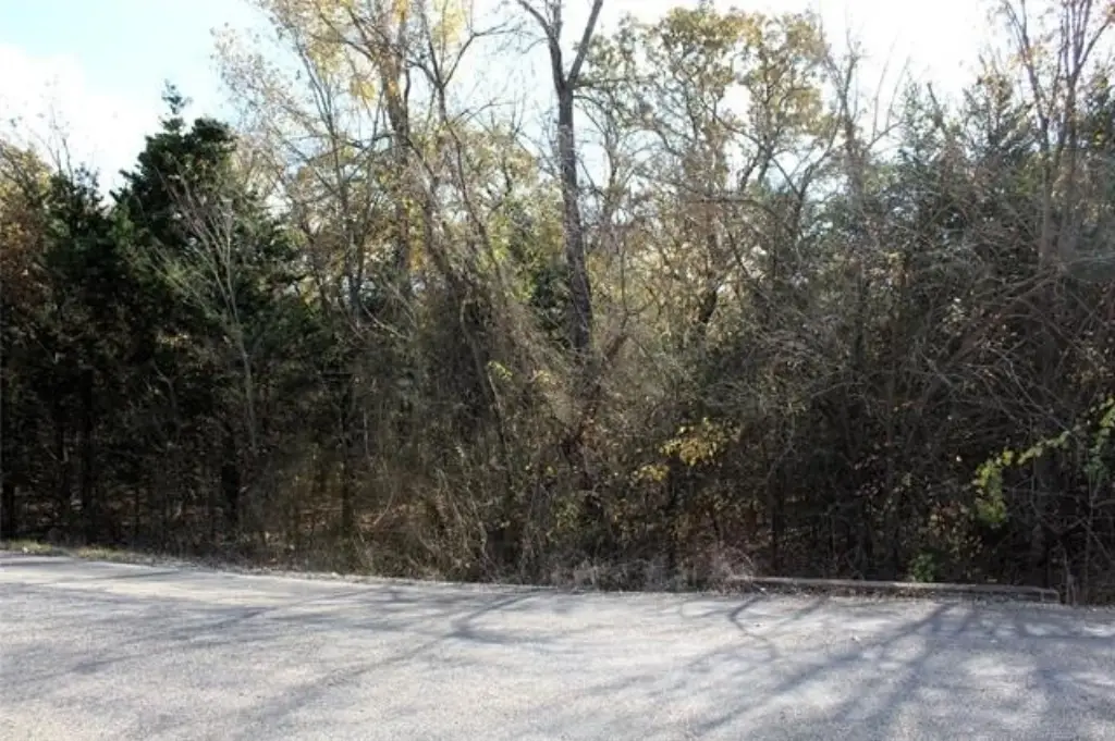 Picture 3