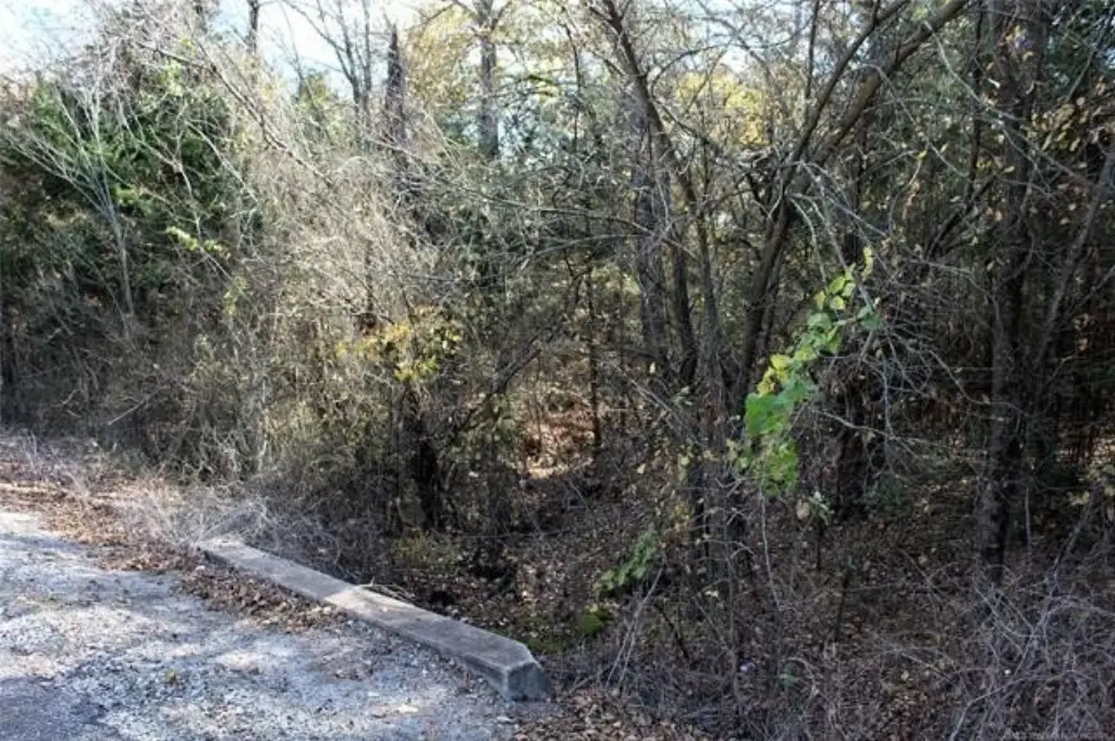 Picture 11