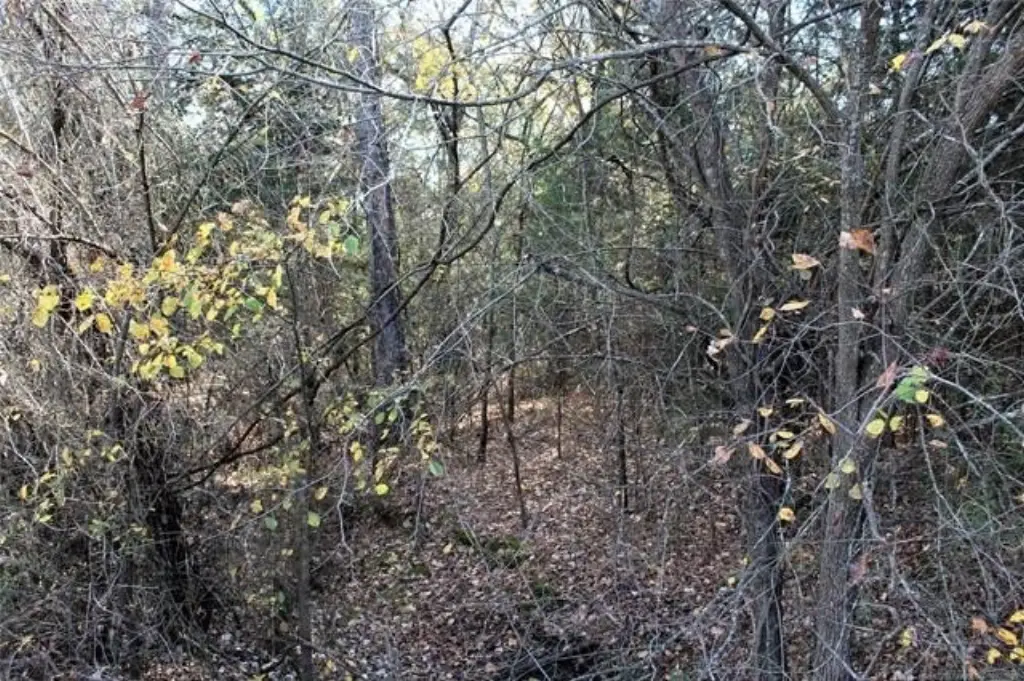Picture 13