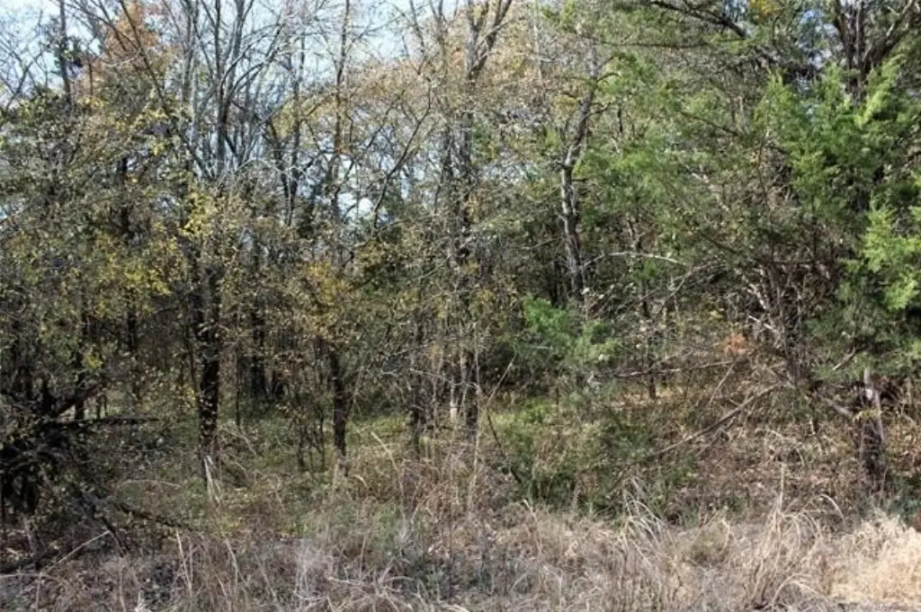 Picture 5