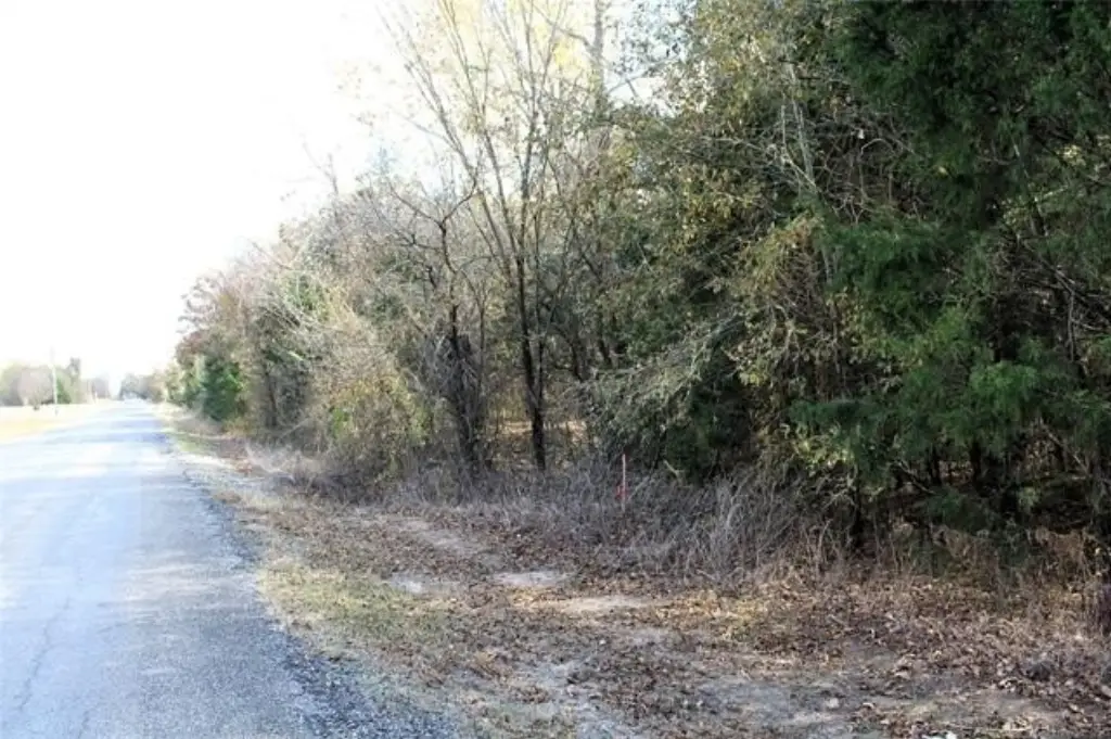 Picture 10
