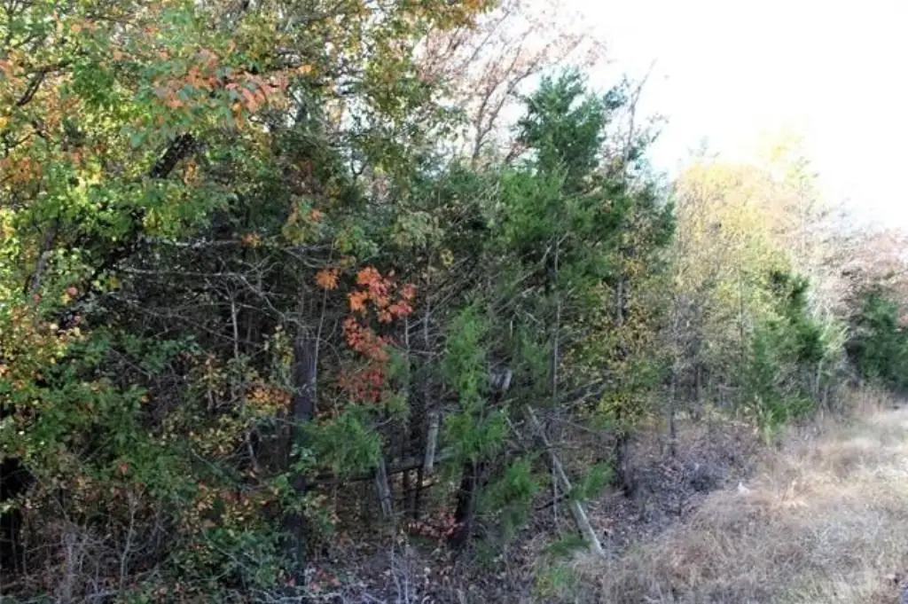 Picture 4