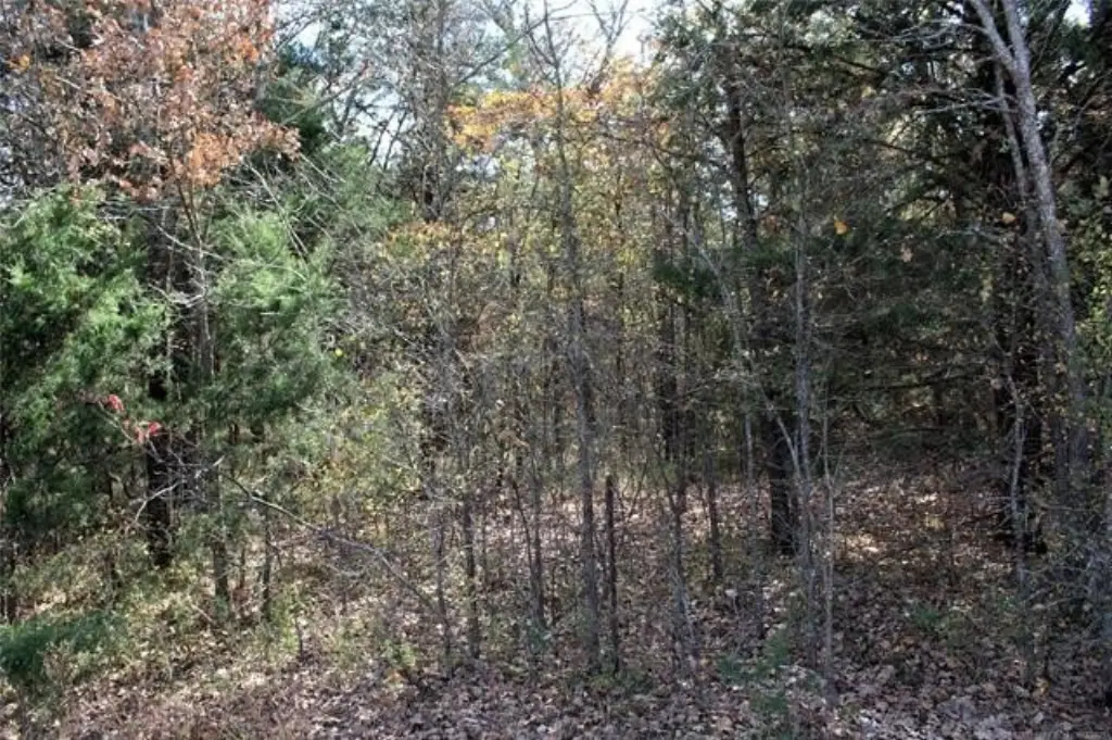 Picture 8