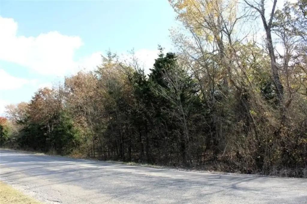 Picture 9