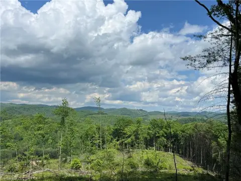 49+ Acres of Pristine Land