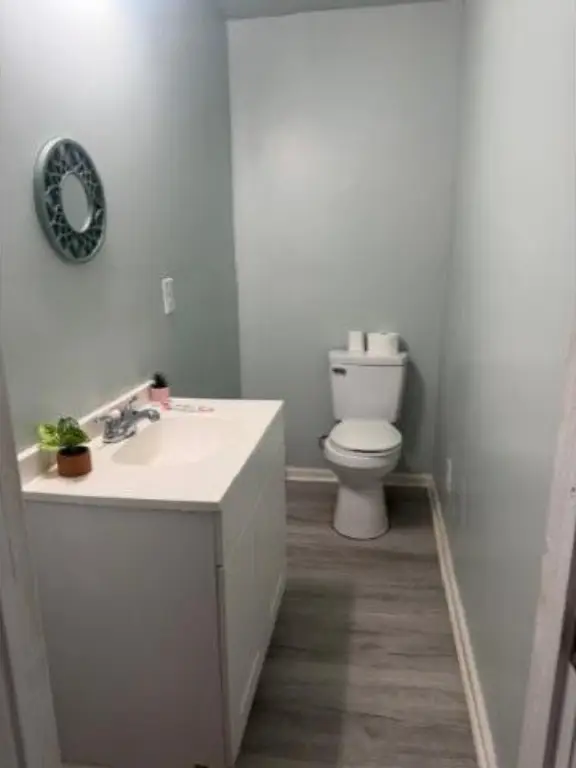 Picture 12
