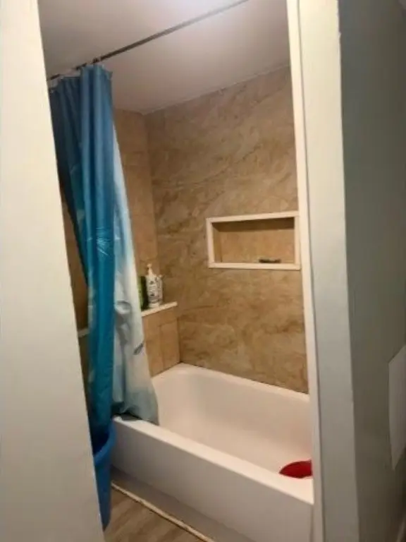 Picture 16