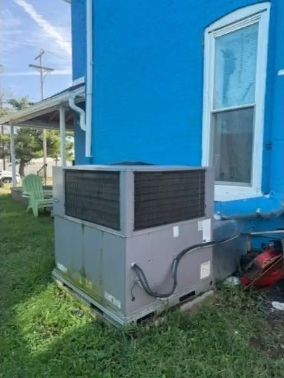 Picture 8