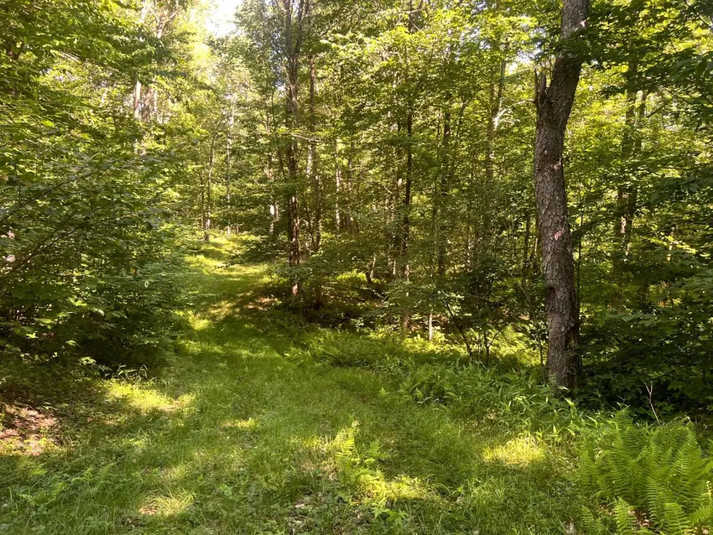 Picture 19