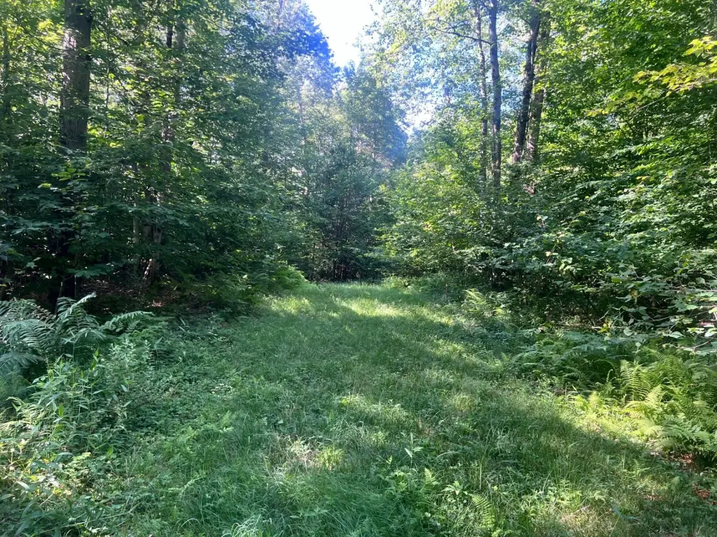 Picture 16