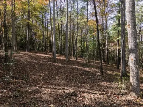 Blairsville Vacant Land in Gated Community